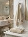 Махровий рушник 85x150 см Maison D&rsquo;or Michel 600г/м2 - Beige головне фото