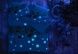 Євро комплект TAC Snowflake Glow Ранфорс + світиться у темноті фото 2