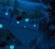 Євро комплект TAC Snowflake Glow Ранфорс + світиться у темноті фото 4