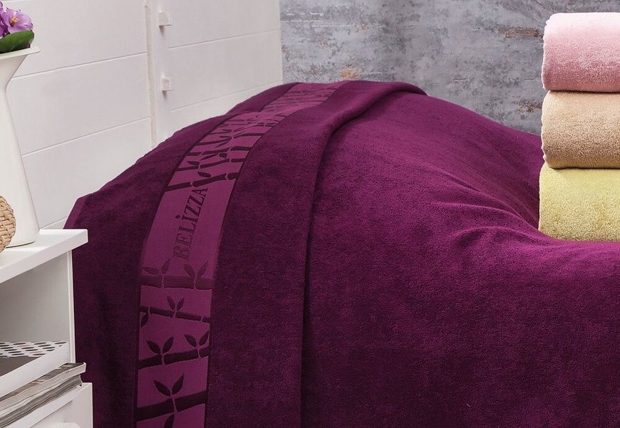 Махрове бамбукове покривало Belizza Purple 200&times;220 см головне фото